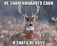 не знаю никакого сани и знать не хочу