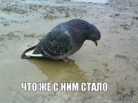 Что же с ним стало