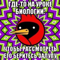 где-то на уроке биологии: чтобы рассмотреть его беритесь залупу