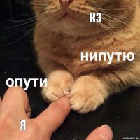 КЗ Я