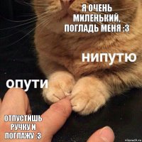 Я очень миленький, погладь меня :3 Отпустишь ручку и поглажу :3