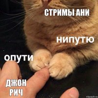 стримы ани Джон Рич