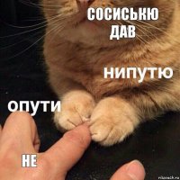 Сосиськю дав не