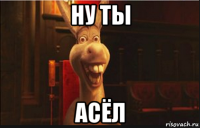 ну ты асёл