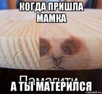 когда пришла мамка а ты матерился