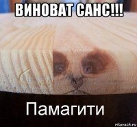 виноват санс!!! 