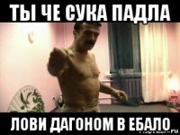 ты че сука падла лови дагоном в ебало