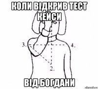 коли відкрив тест кейси від богдани