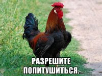  разрешите попитушиться.