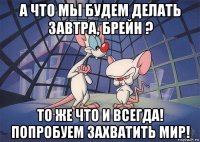 а что мы будем делать завтра, брейн ? то же что и всегда! попробуем захватить мир!