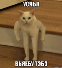 усчья вьяебу тэбэ