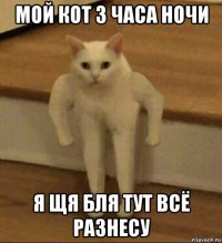 мой кот 3 часа ночи я щя бля тут всё разнесу