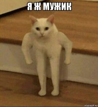 я ж мужик 