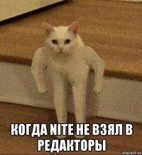  когда nite не взял в редакторы