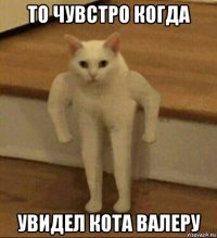 то чувстро когда увидел кота валеру