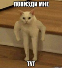 попизди мне тут