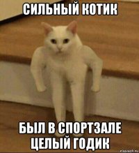 сильный котик был в спортзале целый годик