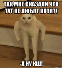 так мне сказали что тут не любят котят! -а ну кш!