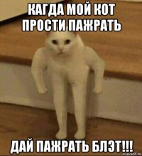 кагда мой кот прости пажрать дай пажрать блэт!!!