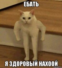 ебать я здоровый нахоой