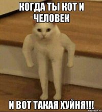 когда ты кот и человек и вот такая хуйня!!!