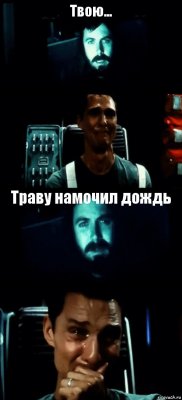 Твою...  Траву намочил дождь 