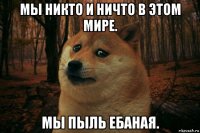 мы никто и ничто в этом мире. мы пыль ебаная.