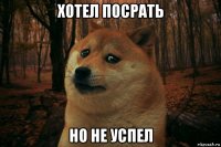 хотел посрать но не успел