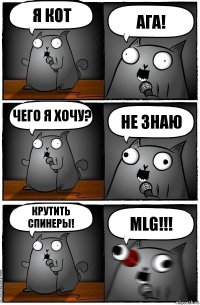 Я кот Ага! Чего я хочу? Не знаю Крутить спинеры! MLG!!!