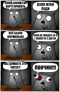 такой,захожу на карту припять взял M700 леди всё было нормально пока не увидел 20 к 1 убийств с дигла Вы думаете это читер? ПОНЧИК!!!