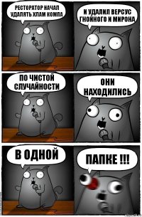 Ресторатор Начал удалять хлам компа и удалил версус гнойного и мирона По чистой случайности Они находились В одной ПАПКЕ !!!