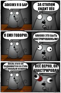 Захожу я в бар За столом сидит пёс Я ему говорю: Каково это быть кастрированным? После этого он поднимается со стула со злобным оскалом Всё верно, он каастрирован