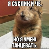 я суслик и че. но я умею танцевать.