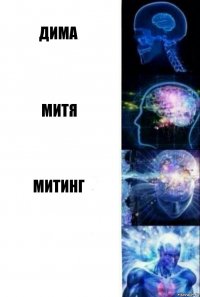 Дима Митя Митинг 