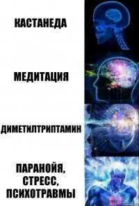 кастанеда медитация диметилтриптамин паранойя, стресс, психотравмы