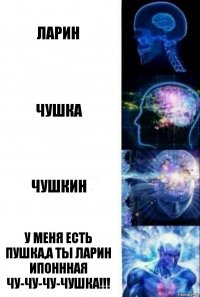 ларин чушка чушкин у меня есть пушка,а ты ларин ипоннная чу-чу-чу-чушка!!!