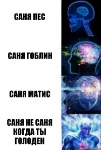 Саня пес Саня гоблин Саня Матис Саня не Саня когда ты голоден