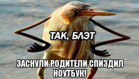  заснули родители спиздил ноутбук!