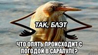  что опять происходит с погодой в сарапуле?