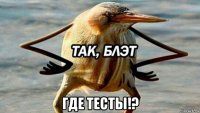  где тесты!?