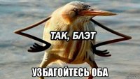  узбагойтесь оба