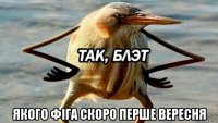  якого фіга скоро перше вересня