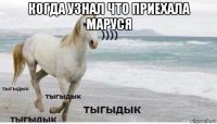 когда узнал что приехала маруся 