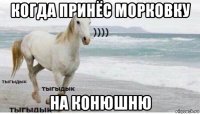 когда принёс морковку на конюшню