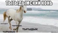 тыгыдымский конь 