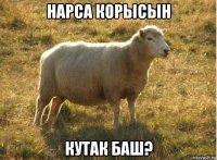 нарса корысын кутак баш?