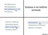 Знаешь я не люблю
котиков