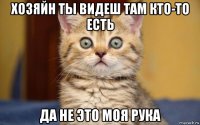 хозяйн ты видеш там кто-то есть да не это моя рука