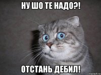 ну шо те надо?! отстань дебил!