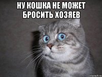 ну кошка не может бросить хозяев 